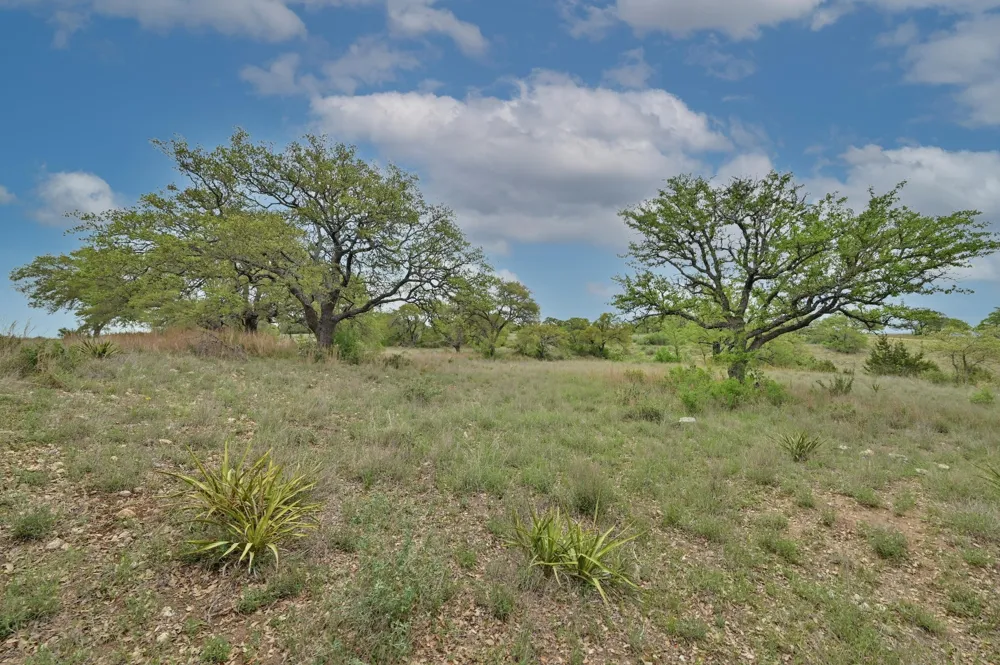 195 Cypress View Drive Johnson City, TX 78636