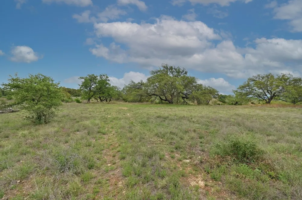 195 Cypress View Drive Johnson City, TX 78636