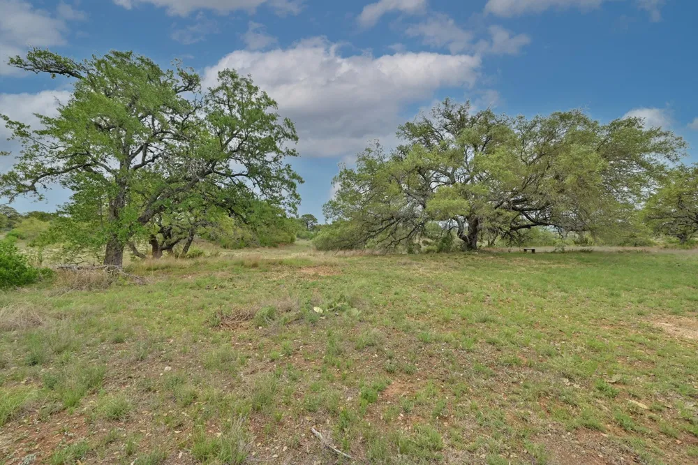 195 Cypress View Drive Johnson City, TX 78636