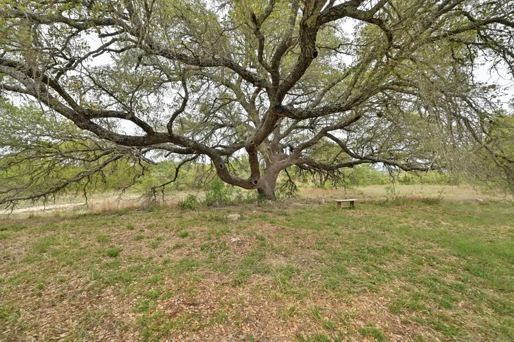 195 Cypress View Drive Johnson City, TX 78636