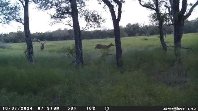 118 PR 42102 Evant, TX 76525