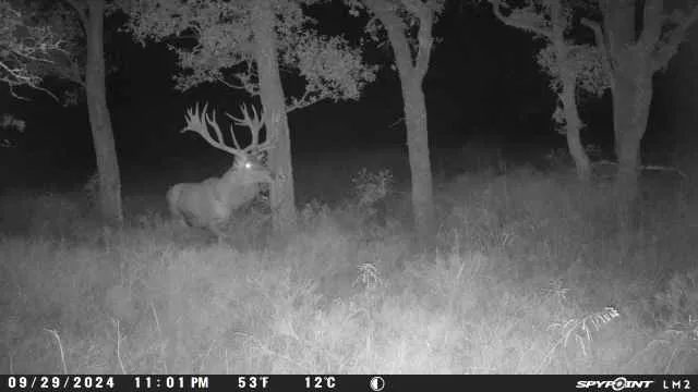 118 PR 42102 Evant, TX 76525