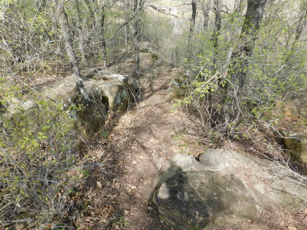 FM 3003 Graham, TX 76450