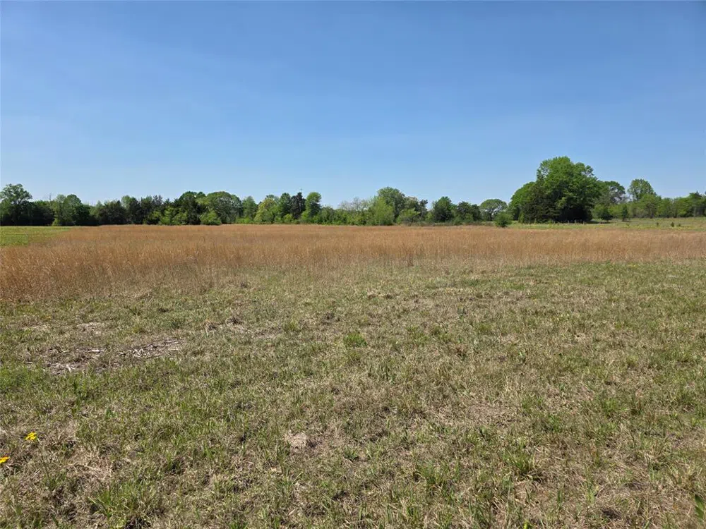 Cr-4240 Simms, TX 75574