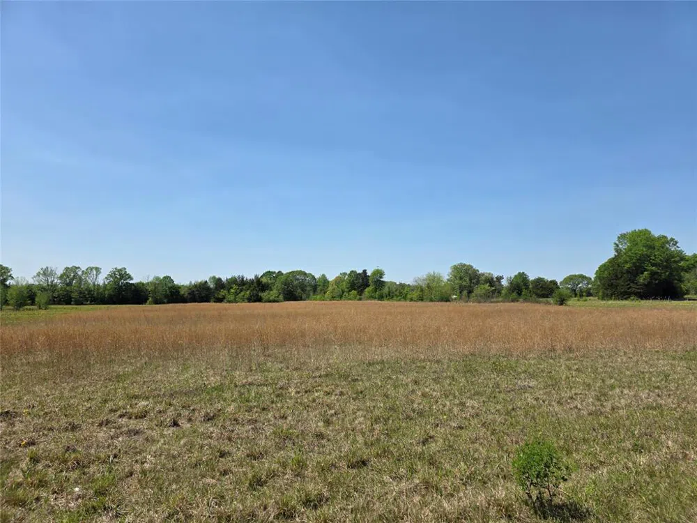 Cr-4240 Simms, TX 75574