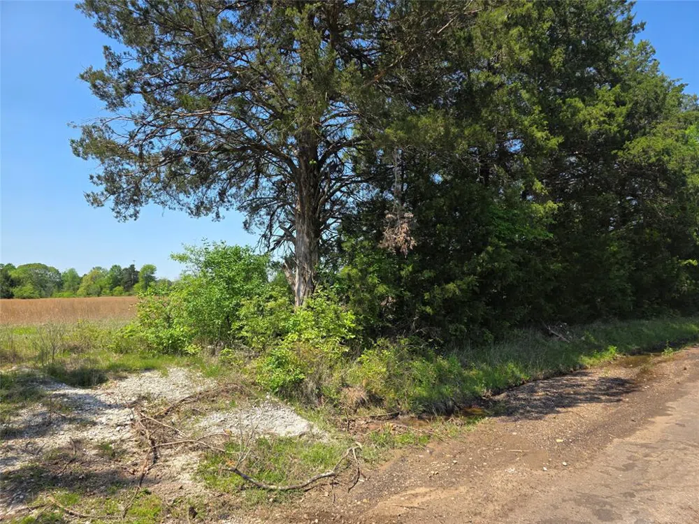 Cr-4240 Simms, TX 75574