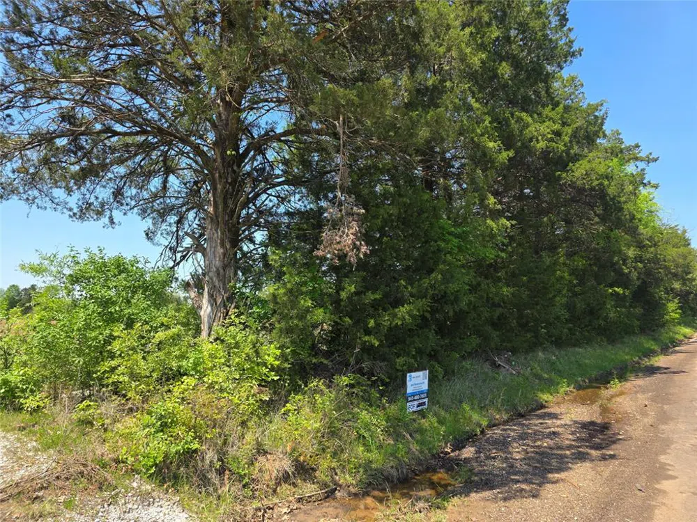 Cr-4240 Simms, TX 75574