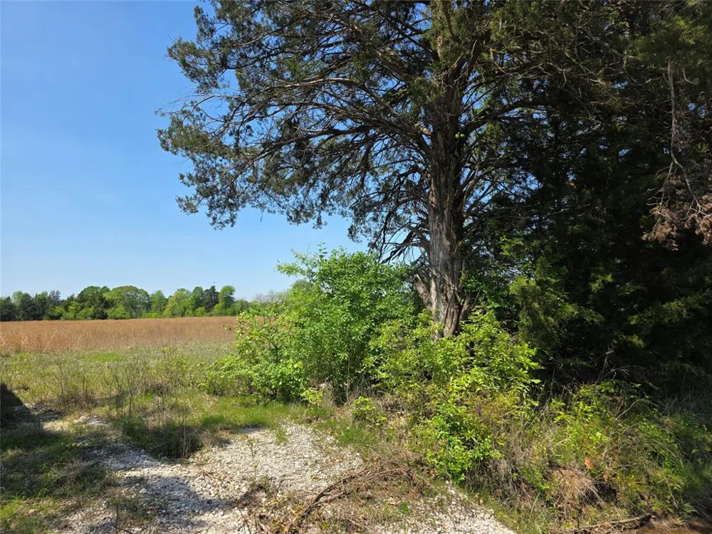 Cr-4240 Simms, TX 75574