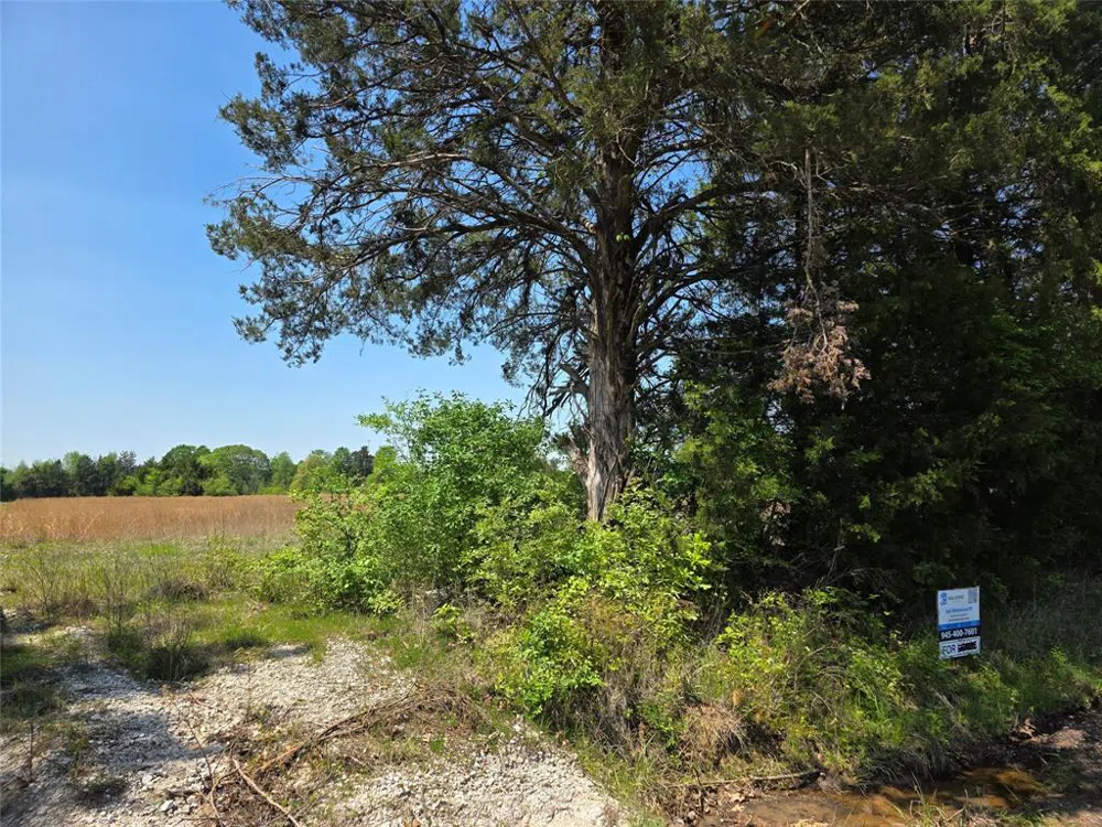 Cr-4240 Simms, TX 75574