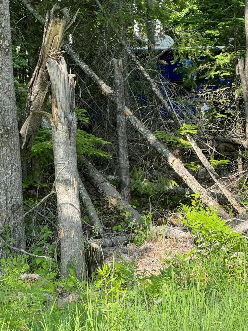 xx3.64 Gamma Road Kabetogama, MN 56669