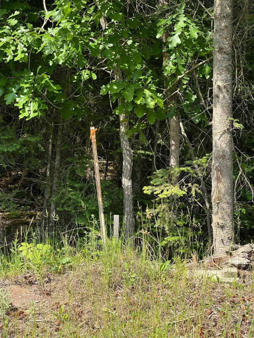 xx3.64 Gamma Road Kabetogama, MN 56669