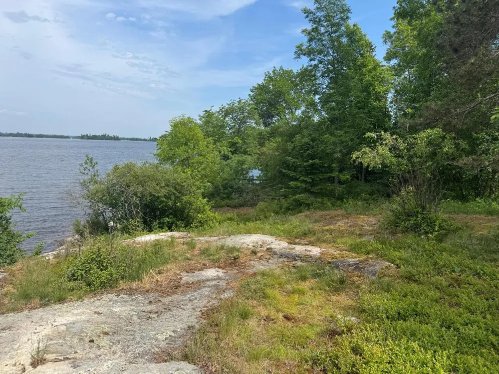 xx3.64 Gamma Road Kabetogama, MN 56669
