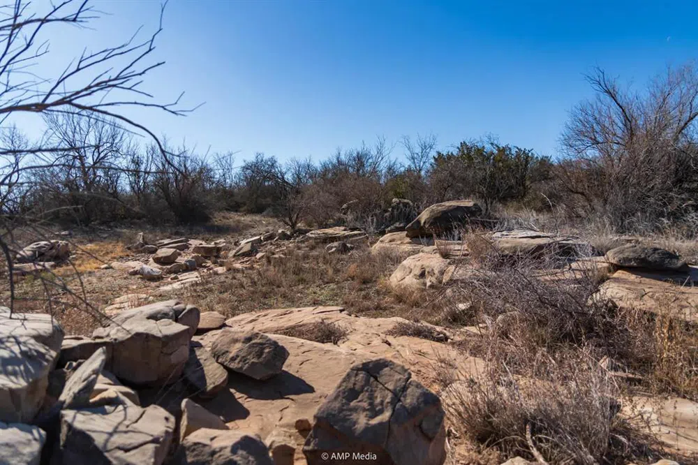Fm-2836 Colorado City, TX 79512