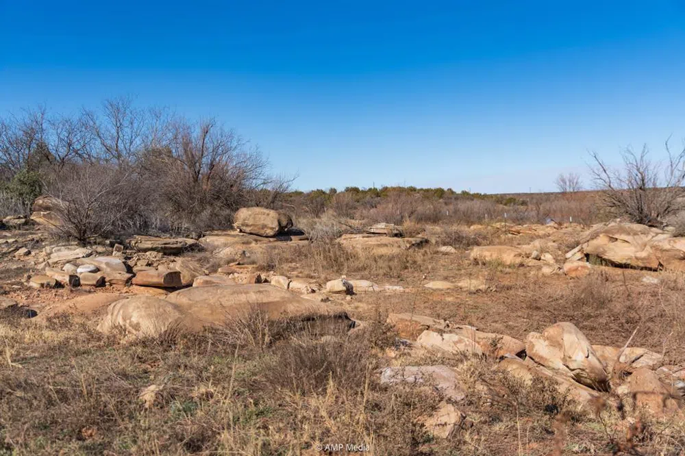 Fm-2836 Colorado City, TX 79512