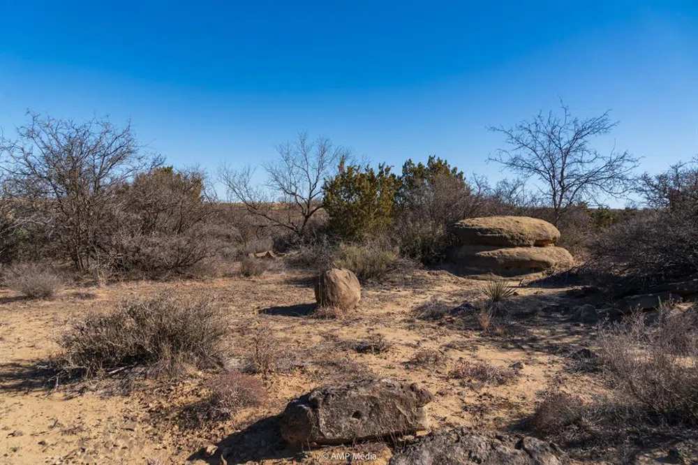 Fm-2836 Colorado City, TX 79512