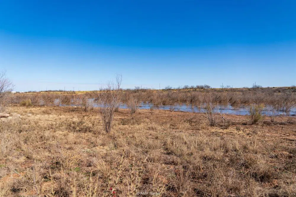 Fm-2836 Colorado City, TX 79512