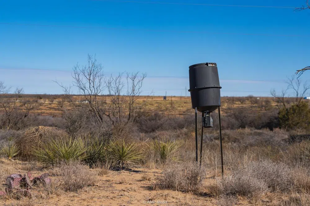 Fm-2836 Colorado City, TX 79512