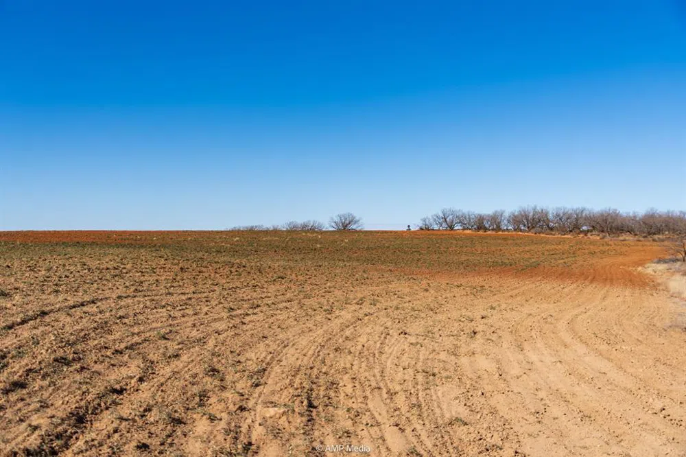 Fm-2836 Colorado City, TX 79512