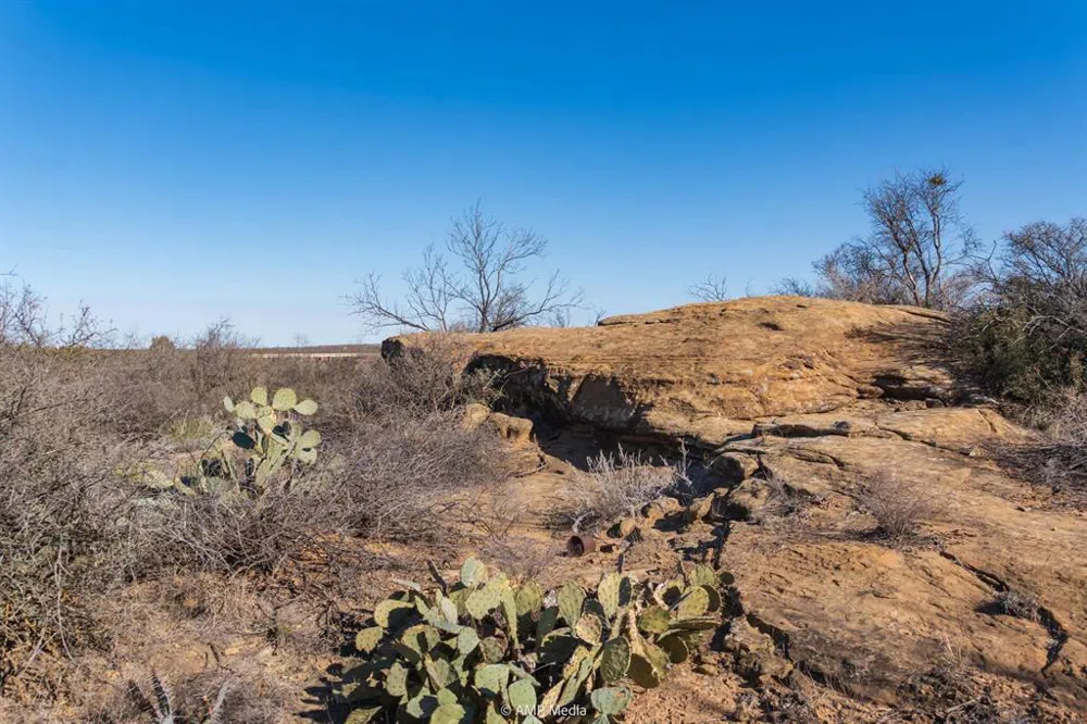 Fm-2836 Colorado City, TX 79512