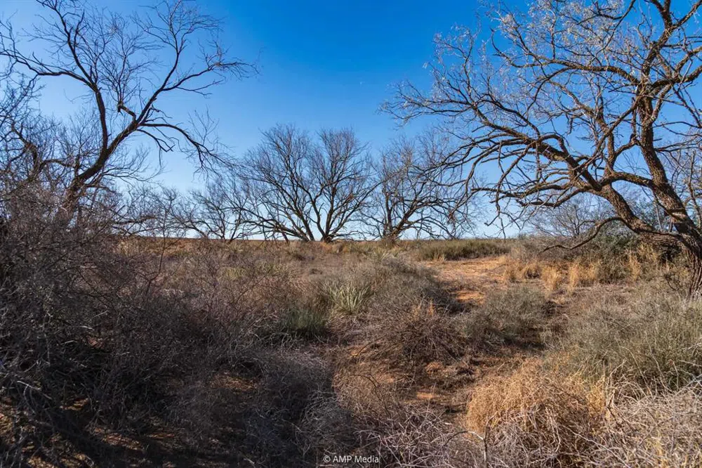 Fm-2836 Colorado City, TX 79512