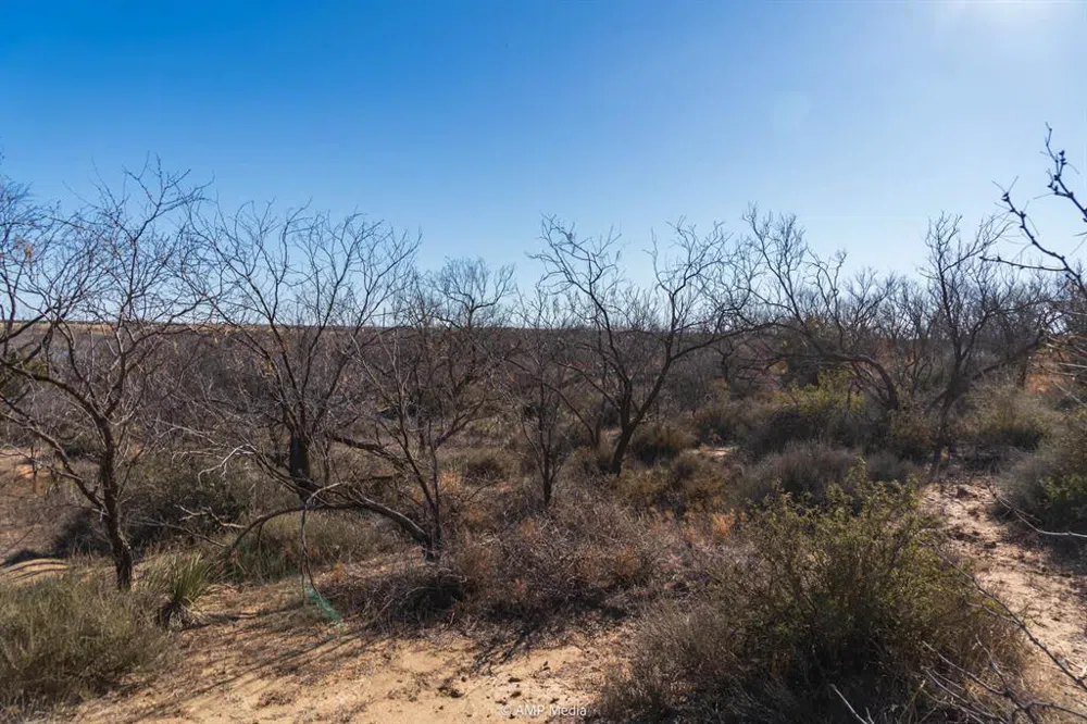 Fm-2836 Colorado City, TX 79512