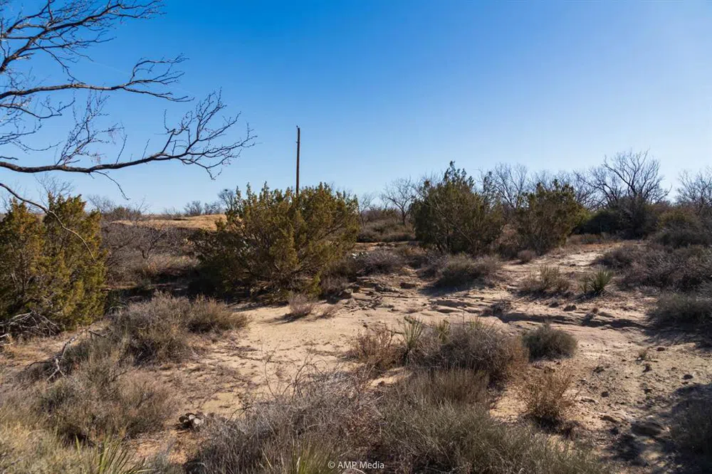 Fm-2836 Colorado City, TX 79512
