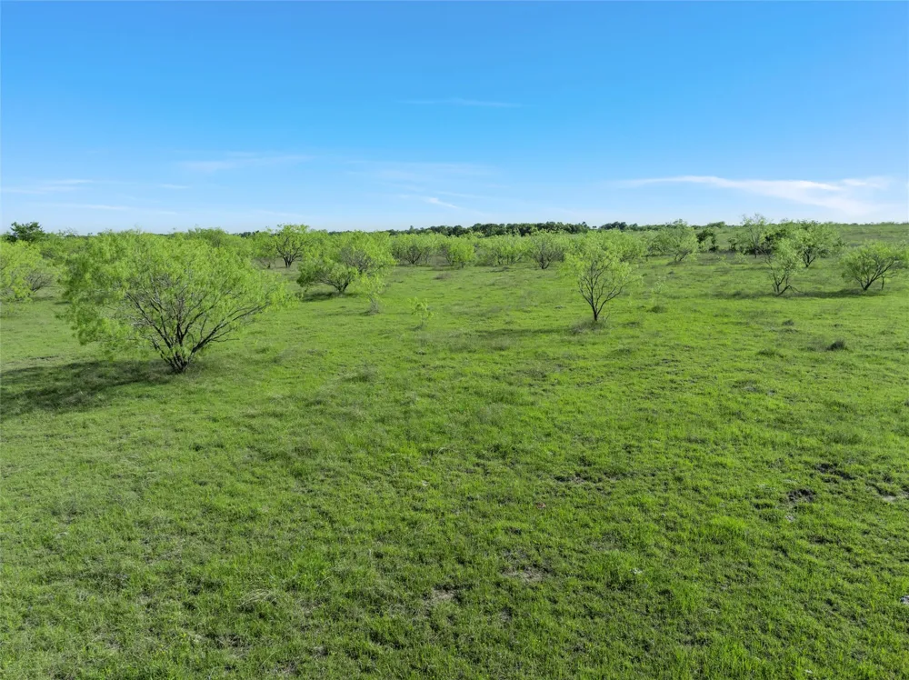 7 Mile Lane Riesel, TX 76682