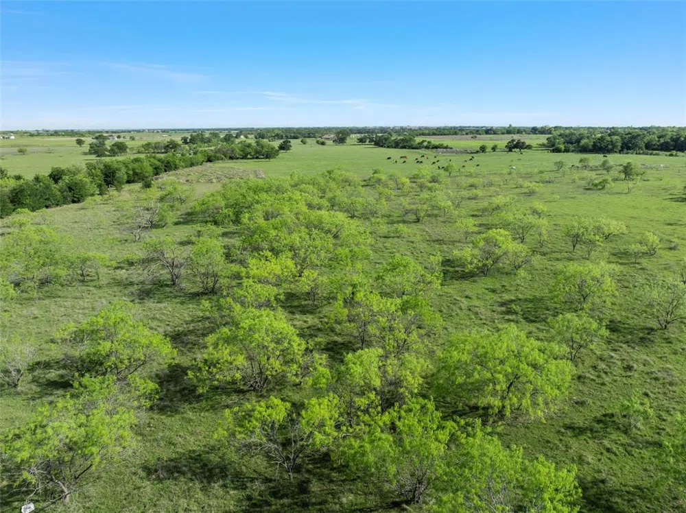 7 Mile Lane Riesel, TX 76682