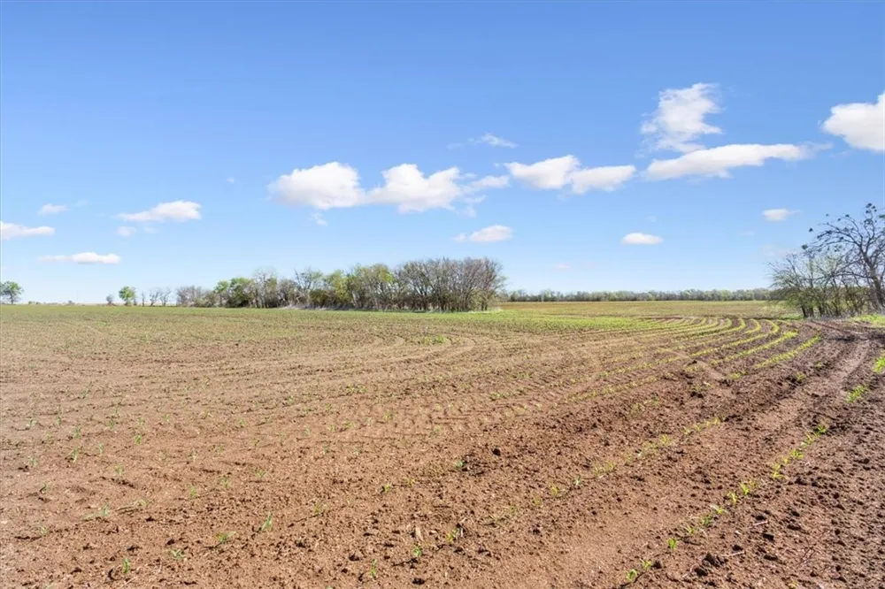 HCR 2302 S Abbott, TX 76621