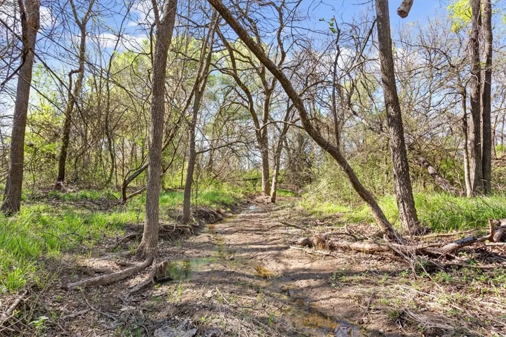 HCR 2302 S Abbott, TX 76621