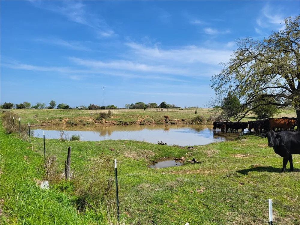 93 LCR 862 Donie, TX 75838