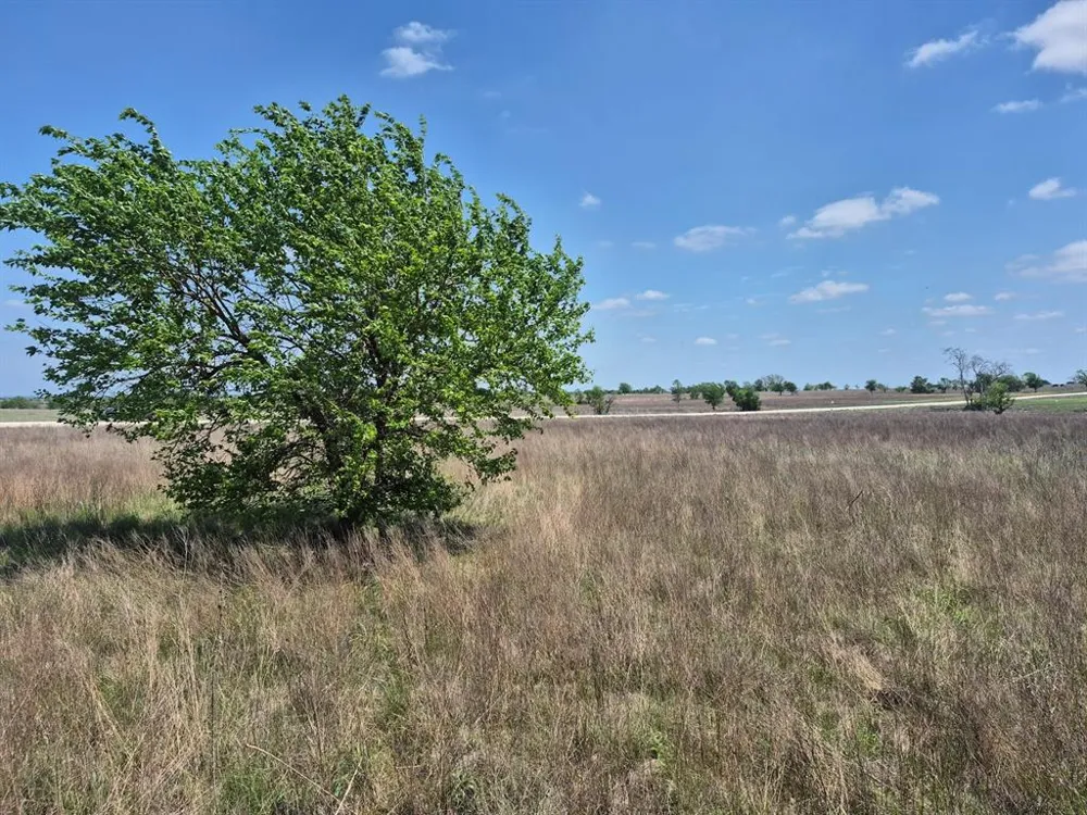 PR 4311 Jonesboro, TX 76538