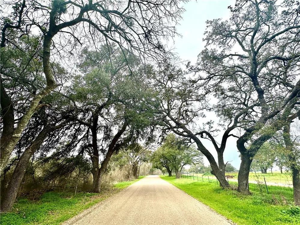 6 CR 356 ROAD Gatesville, TX 76528