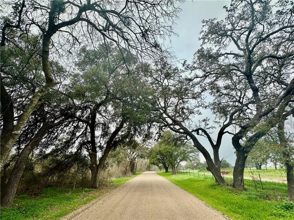 6 CR 356 ROAD Gatesville, TX 76528