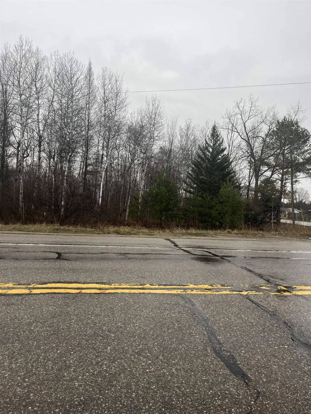 Michigan Avenue Cedar Creek Township, MI 49663