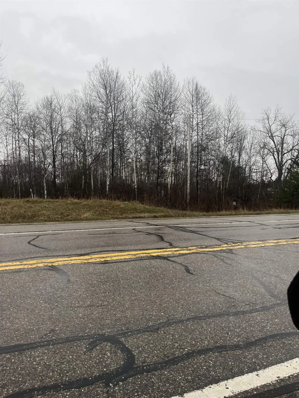 Michigan Avenue Cedar Creek Township, MI 49663