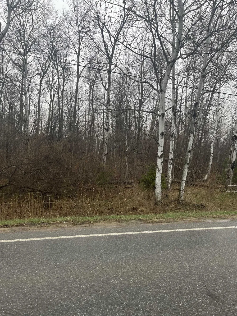 Michigan Avenue Cedar Creek Township, MI 49663