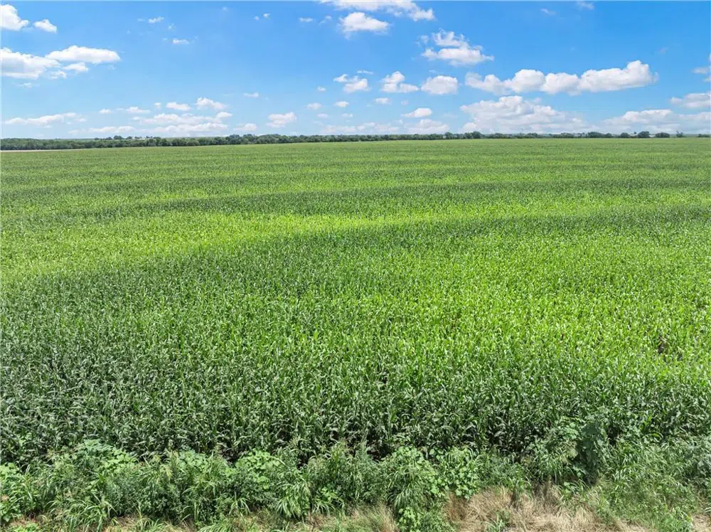 Cottonwood Road West, TX 76691