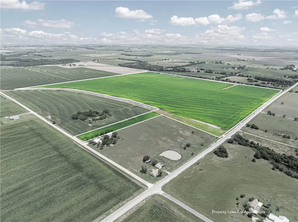 Cottonwood Road West, TX 76691