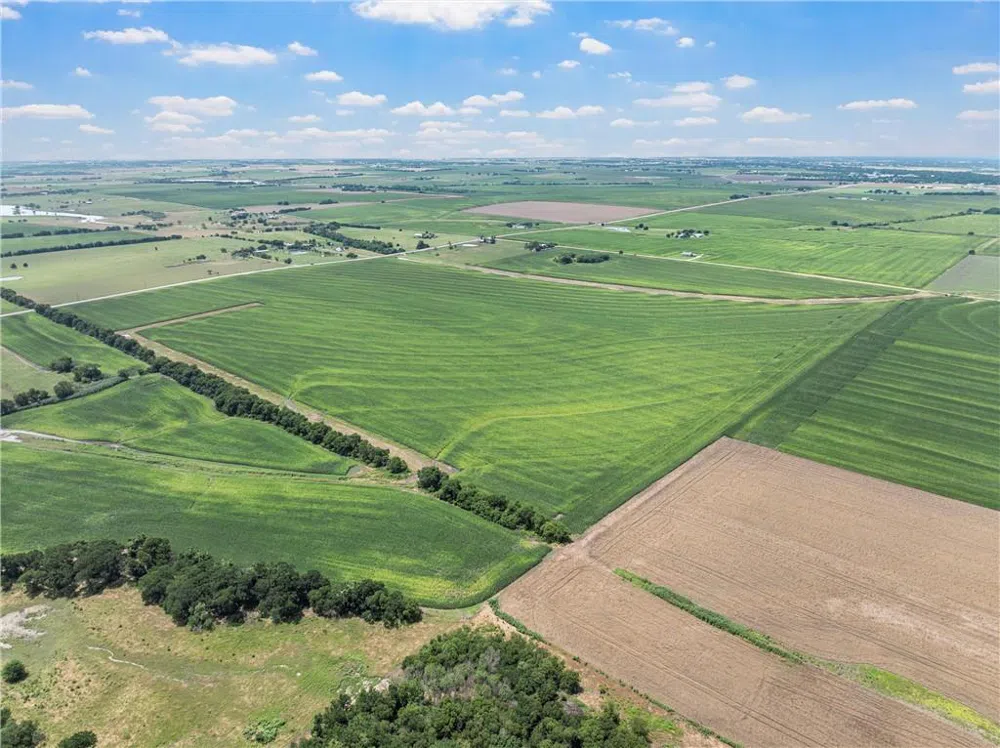 Cottonwood Road West, TX 76691