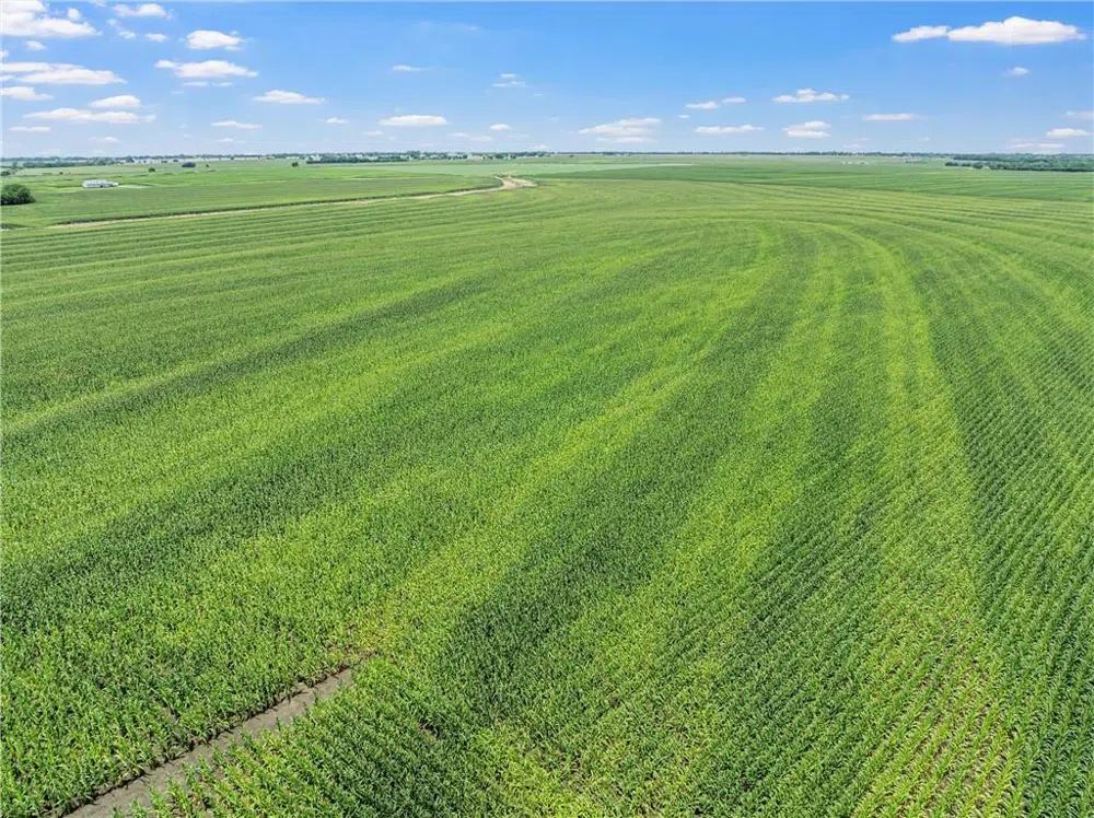 Cottonwood Road West, TX 76691