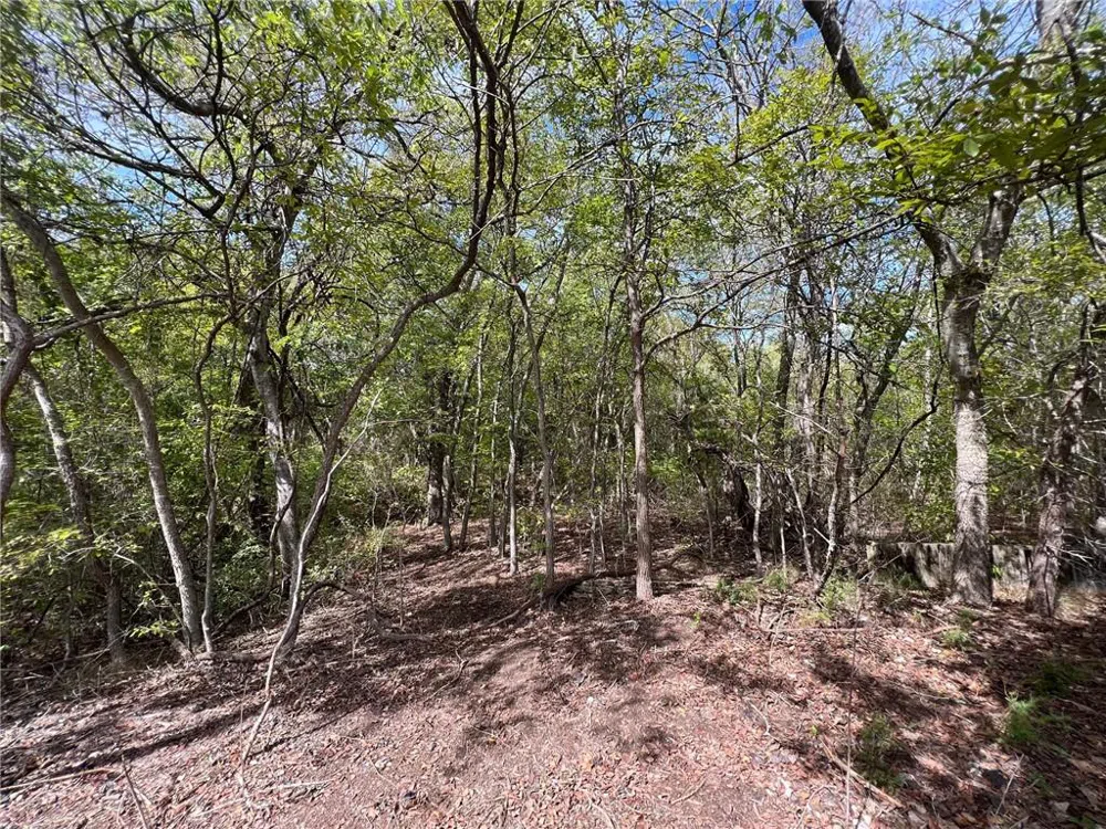 161 Suzanne Drive Moody, TX 76657