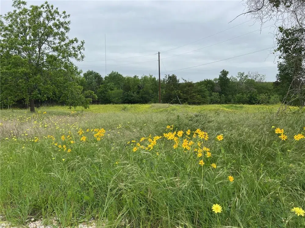 153 Suzanne Drive Moody, TX 76657