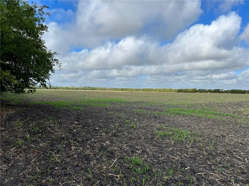 CR 117 ROAD Rogers, TX 76569