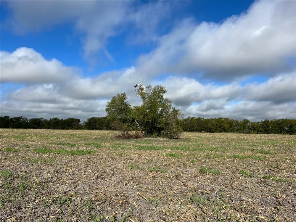 CR 117 ROAD Rogers, TX 76569