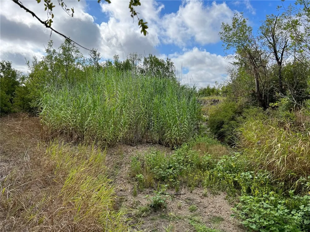 CR 117 ROAD Rogers, TX 76569