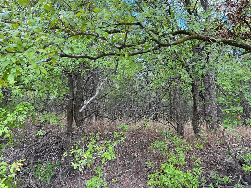 CR 117 ROAD Rogers, TX 76569