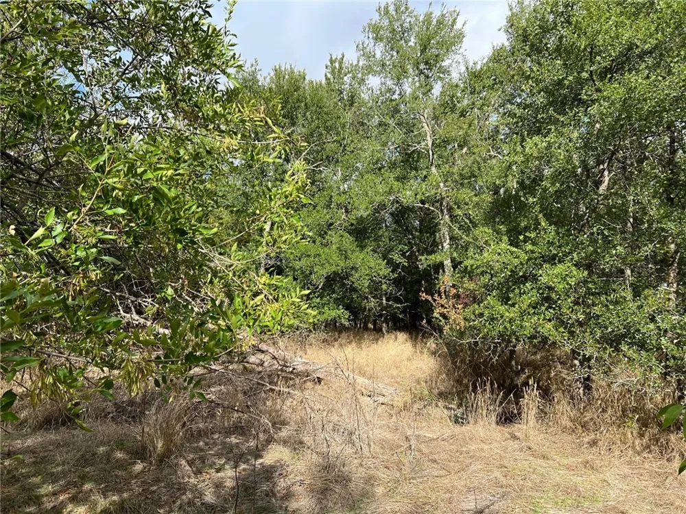 CR 117 ROAD Rogers, TX 76569