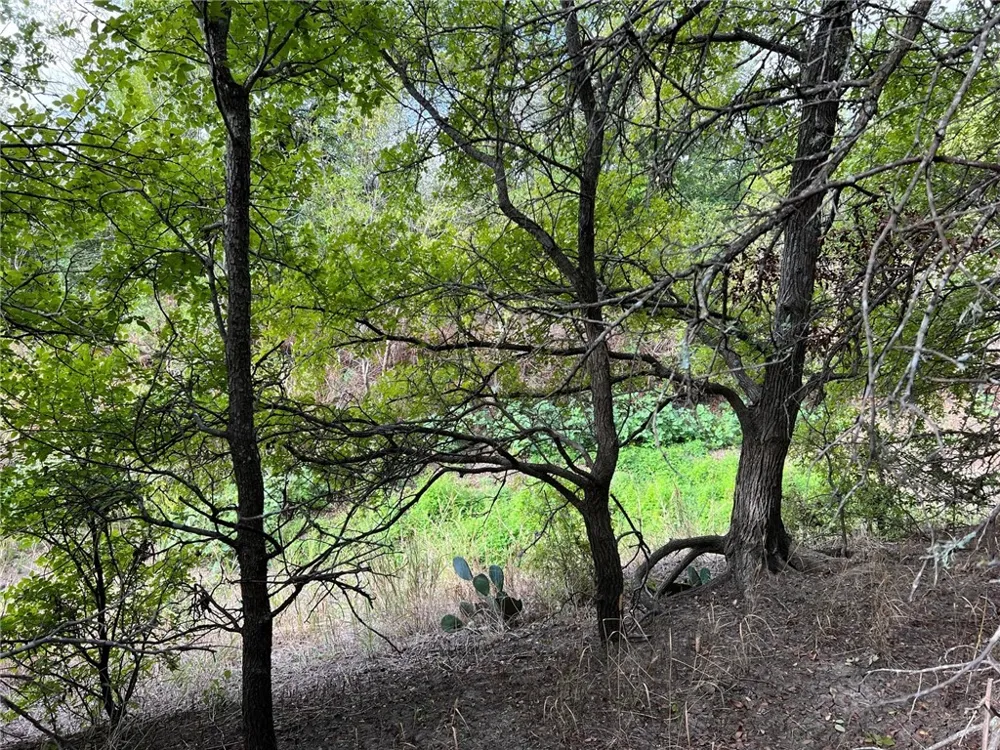 CR 117 ROAD Rogers, TX 76569