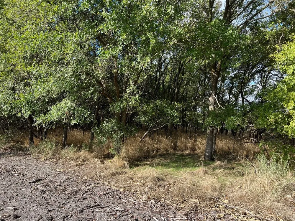 CR 117 ROAD Rogers, TX 76569